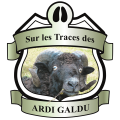 Sur les Traces des Ardi Galdu